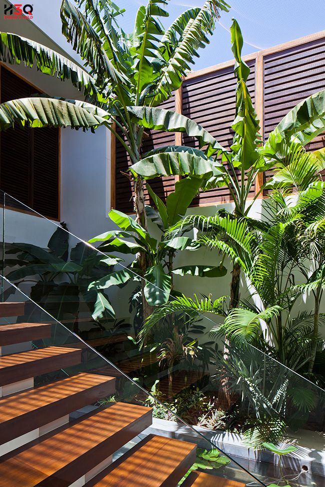 Click vào khung hình để xem ảnh full size Click vào khung hình để xem ảnh full size